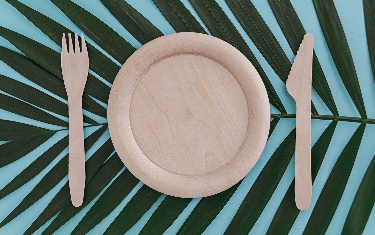 Disposable cutlery and plate made of bamboo